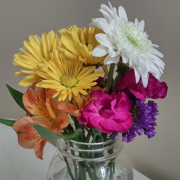 Meet your Posher, Danielle - Picture 7 of 11